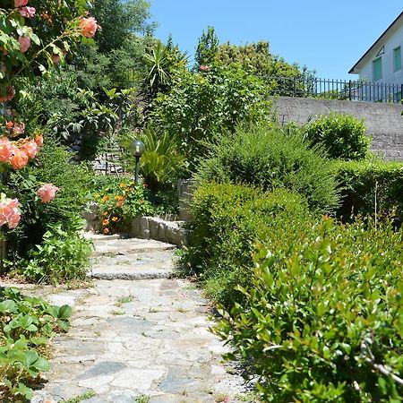 Pietro & Graziella Bed & Breakfast Sorgono Exterior photo